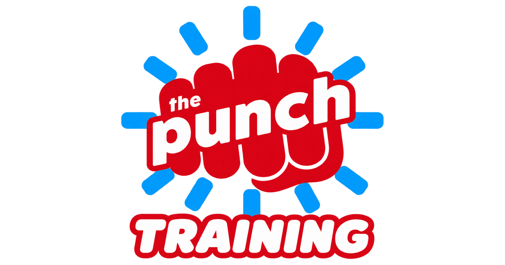 The Punch App Training